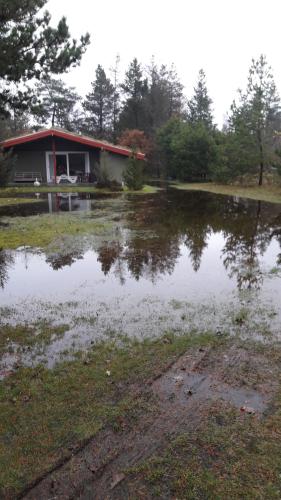 20191119_140144_resized 20191119_140144_resized